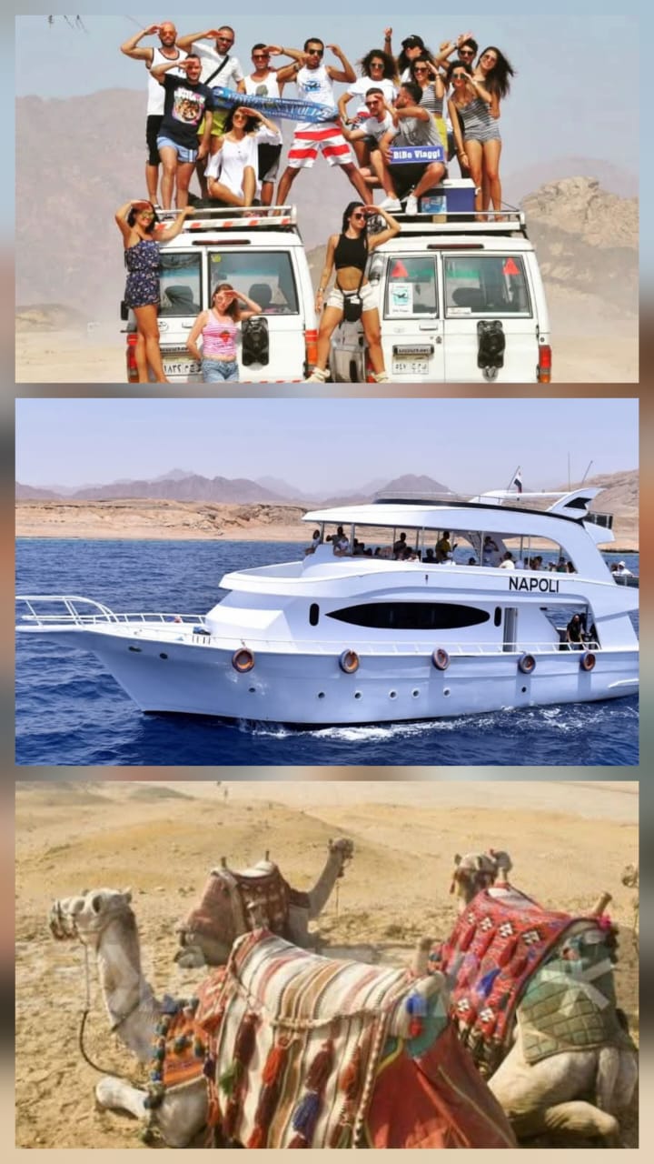 Boat trip + morning safari + City Toure