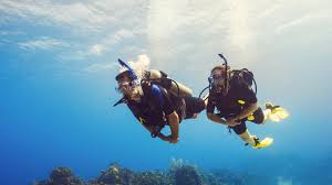 2PADI Scuba Diver Course