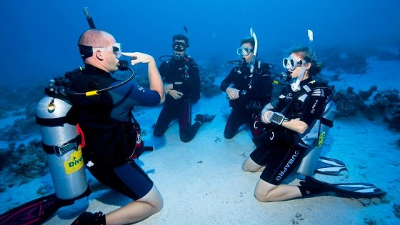 4PADI Scuba Diver Course