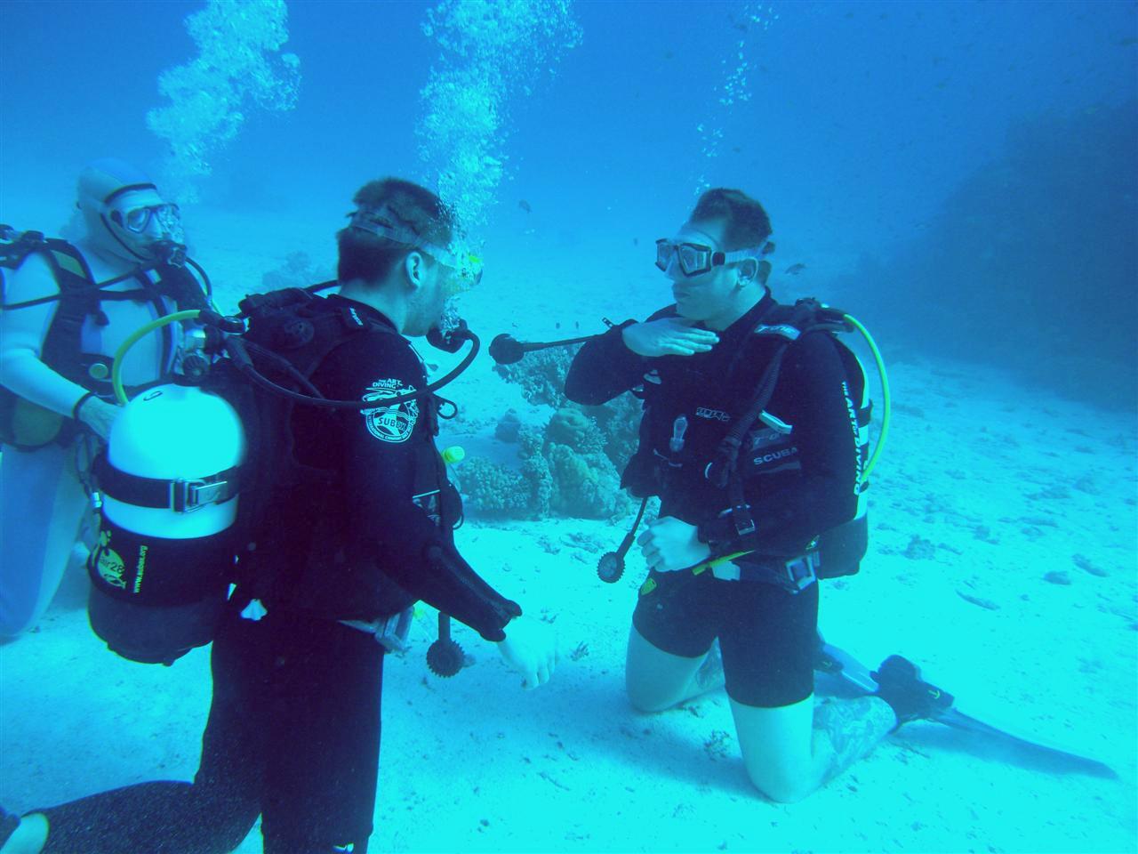 5PADI Scuba Diver Course
